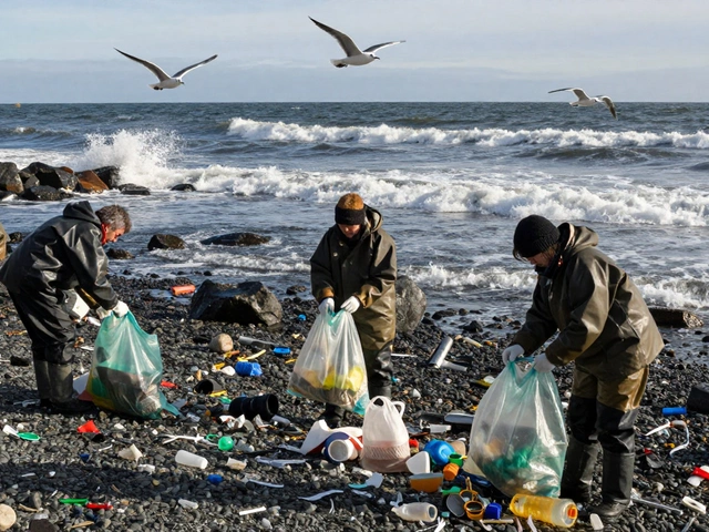 Which Country Recently Banned All Single-Use Plastics?
