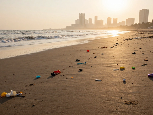 Who Still Dumps Garbage in the Ocean? The Hidden Role of Plastic Manufacturers