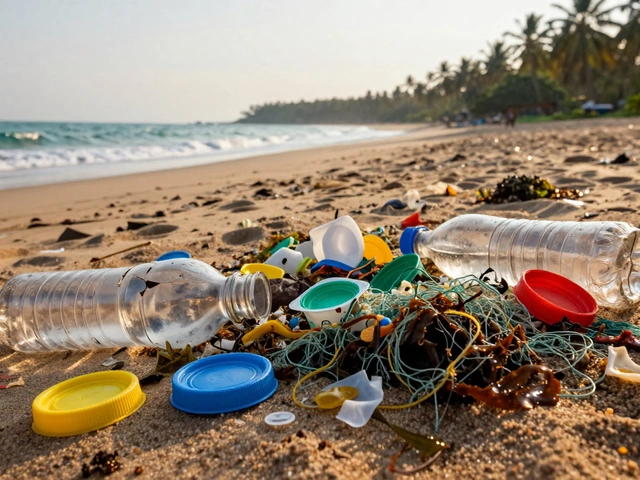 What Plastic Pollutes the Ocean the Most? A Manufacturing Perspective